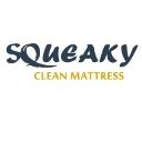 Squeaky Mattress Cleaning Sydney logo